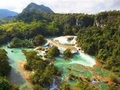 Selva Lacandona